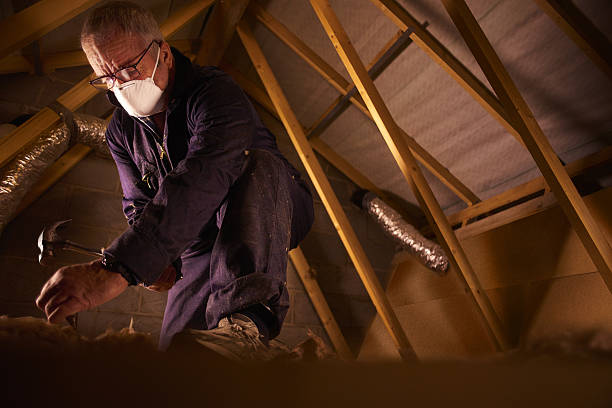 Best Local Insulation Services  in Three Forks, MT
